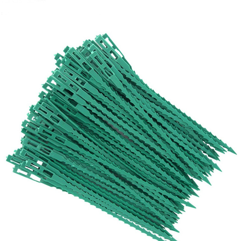 Gear Tie Reusable - 50/100Pcs Reusable Gardenสายผูกพืชสนับสนุนพุ่มไม้Fastenerต้นไม้ล็อคไนลอนปรับพลาสติกสายผูกเครื่องมือ