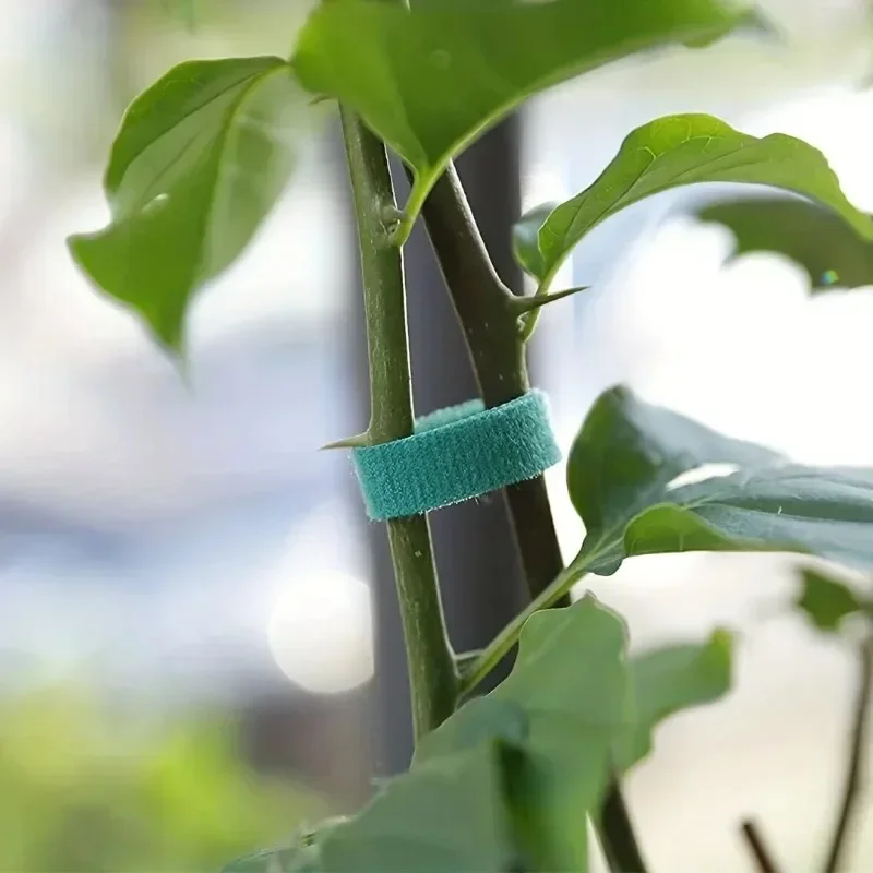 Self Adhesive Plant NYLON CABL - Gear Tie Reusable บทวิจารณ์และราคา