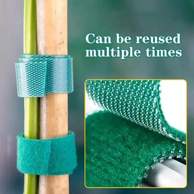 Self Adhesive Plant NYLON CABL - Gear Tie Reusable บทวิจารณ์และราคา