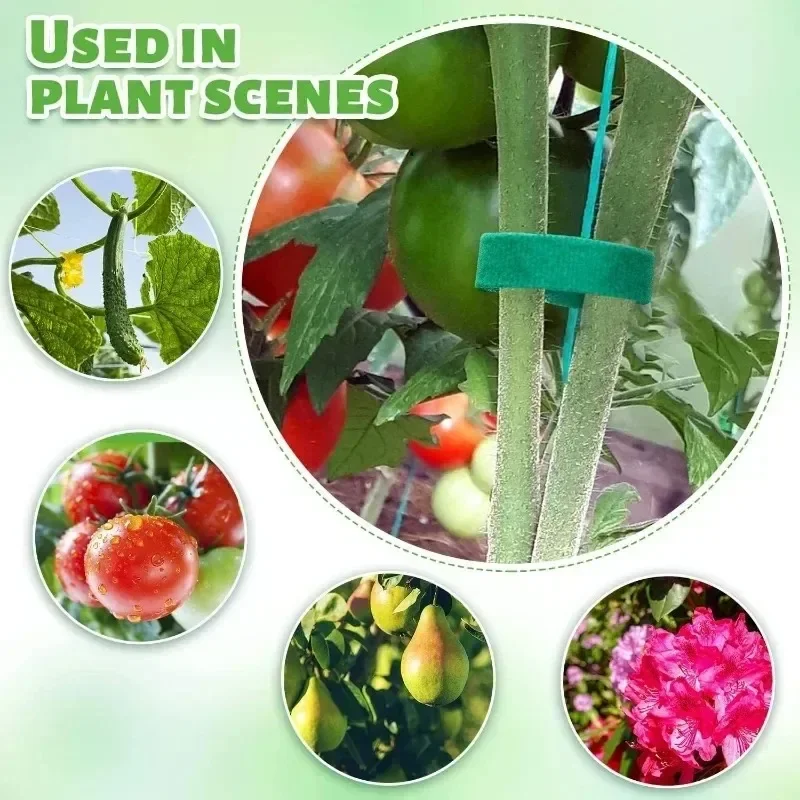 Self Adhesive Plant NYLON CABL - Gear Tie Reusable บทวิจารณ์และราคา