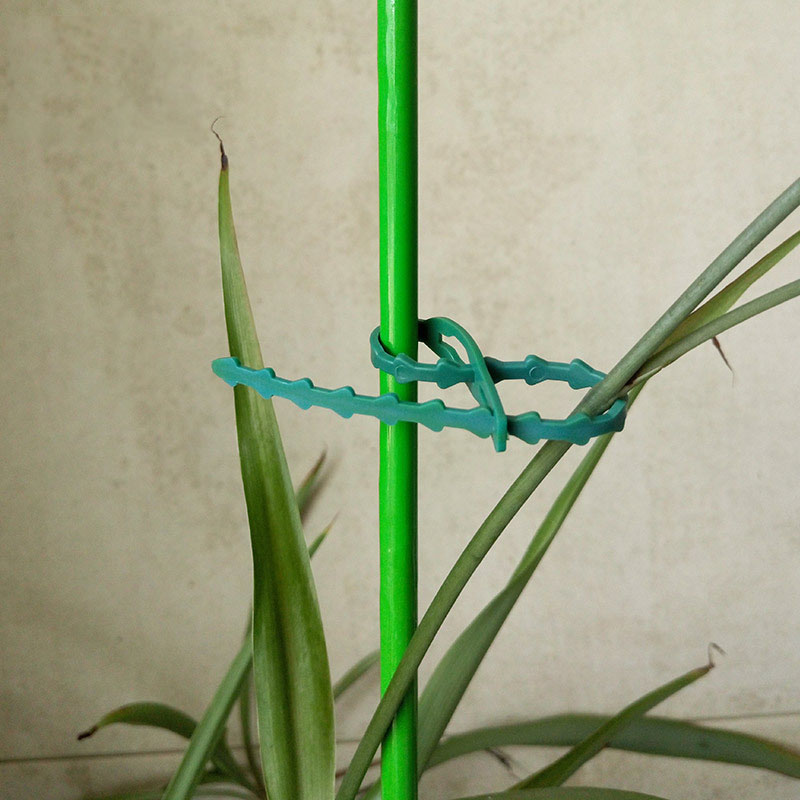 50/100Pcs Reusable Gardenสายผู - Gear Tie Reusable บทวิจารณ์และราคา