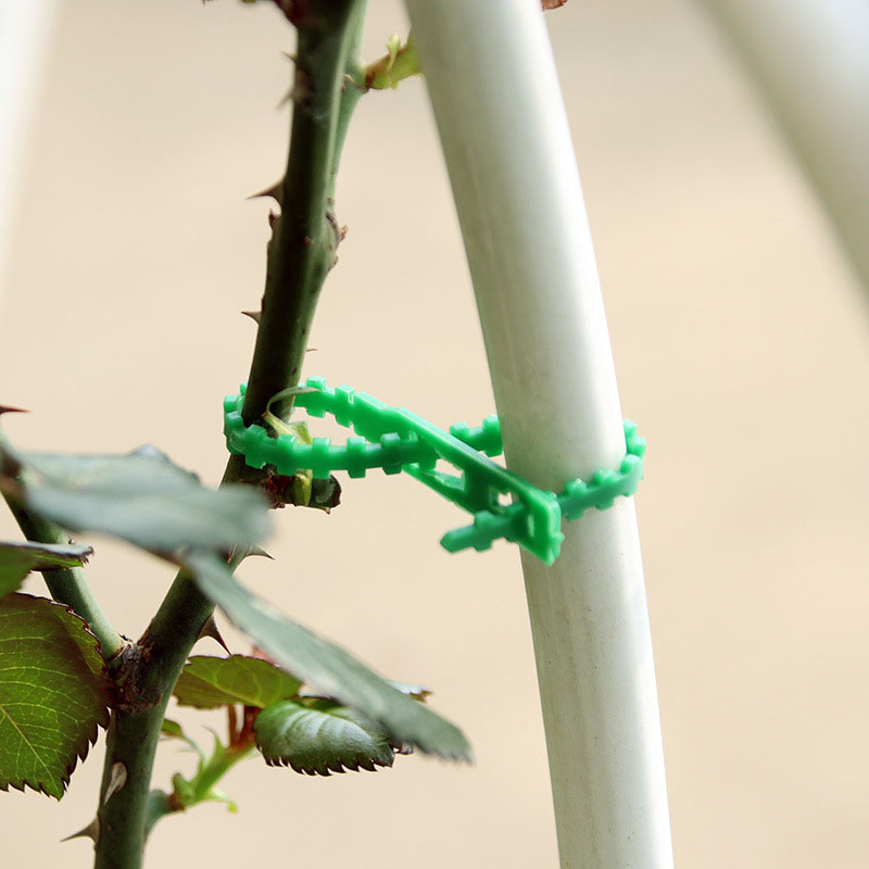 50/100Pcs Reusable Gardenสายผู - Gear Tie Reusable บทวิจารณ์และราคา